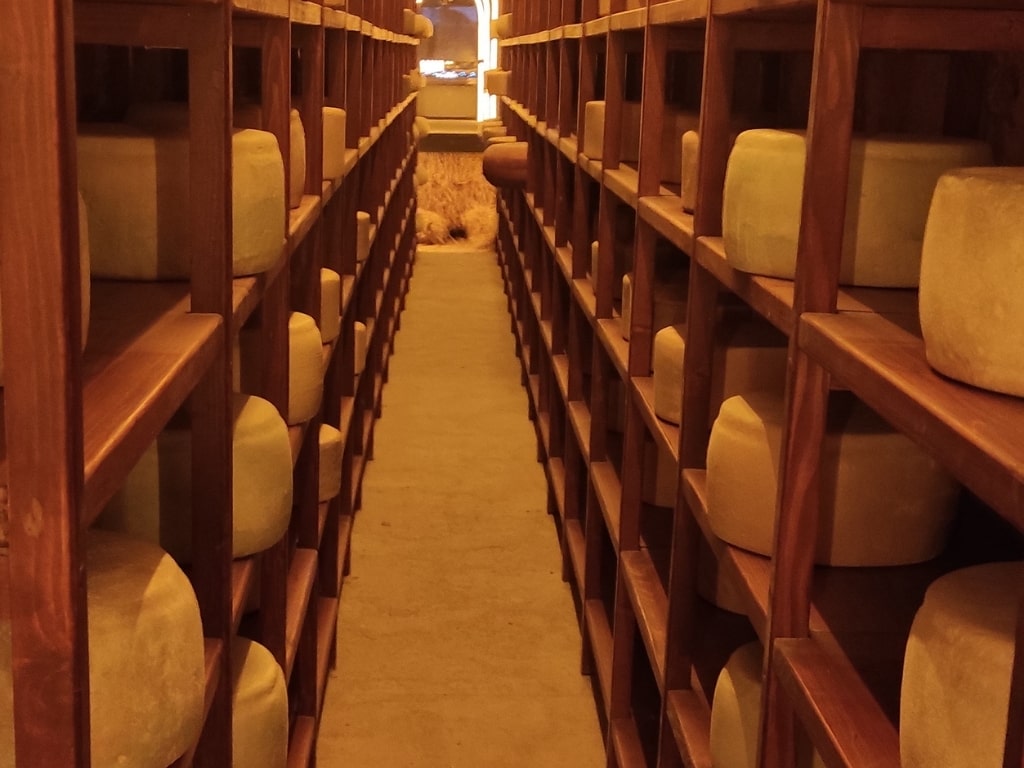 Boğatepe Cheese Museum (Kars) Boğatepe Cheese Museum (Kars)