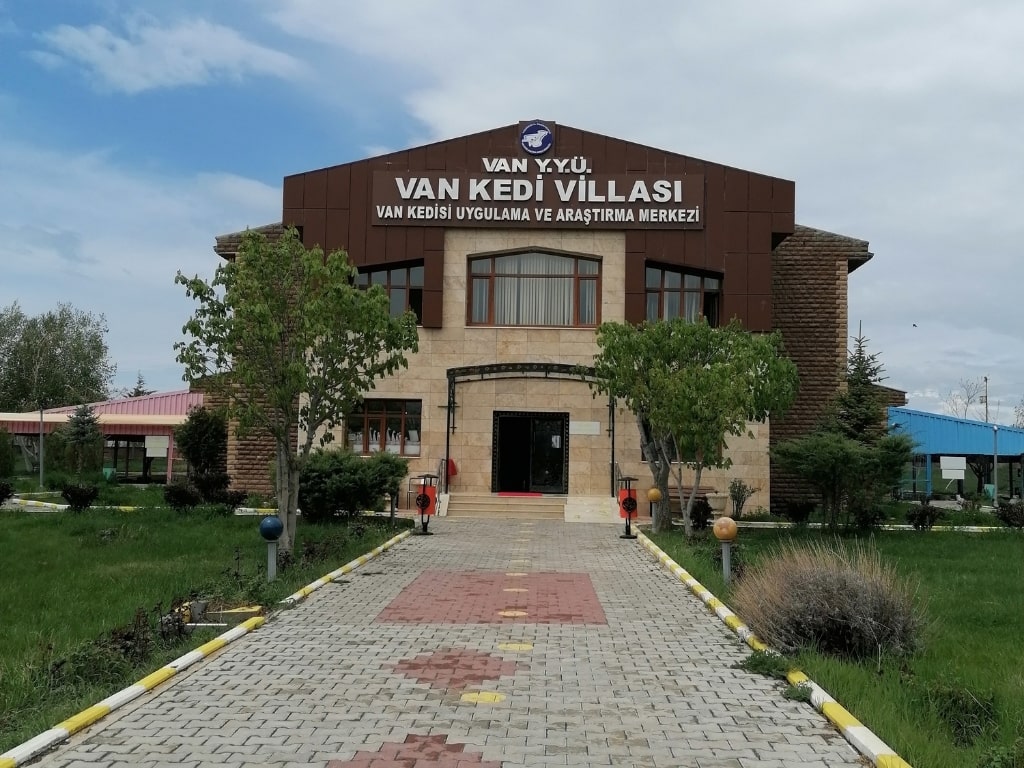 Van Cat House Van Cat House